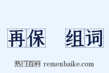 再保險组词是什么意思的图片